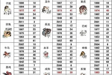 1962年属什么|1962年属什么生肖 1962年属什么生肖五行属什么